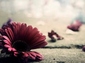 时光错意的年华