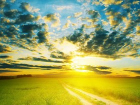 清晨的一缕阳光