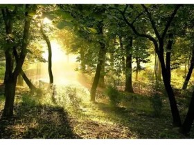 你的圈子,就是你的一面镜子 / 国馆