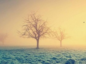 会聊天的人有多可爱?